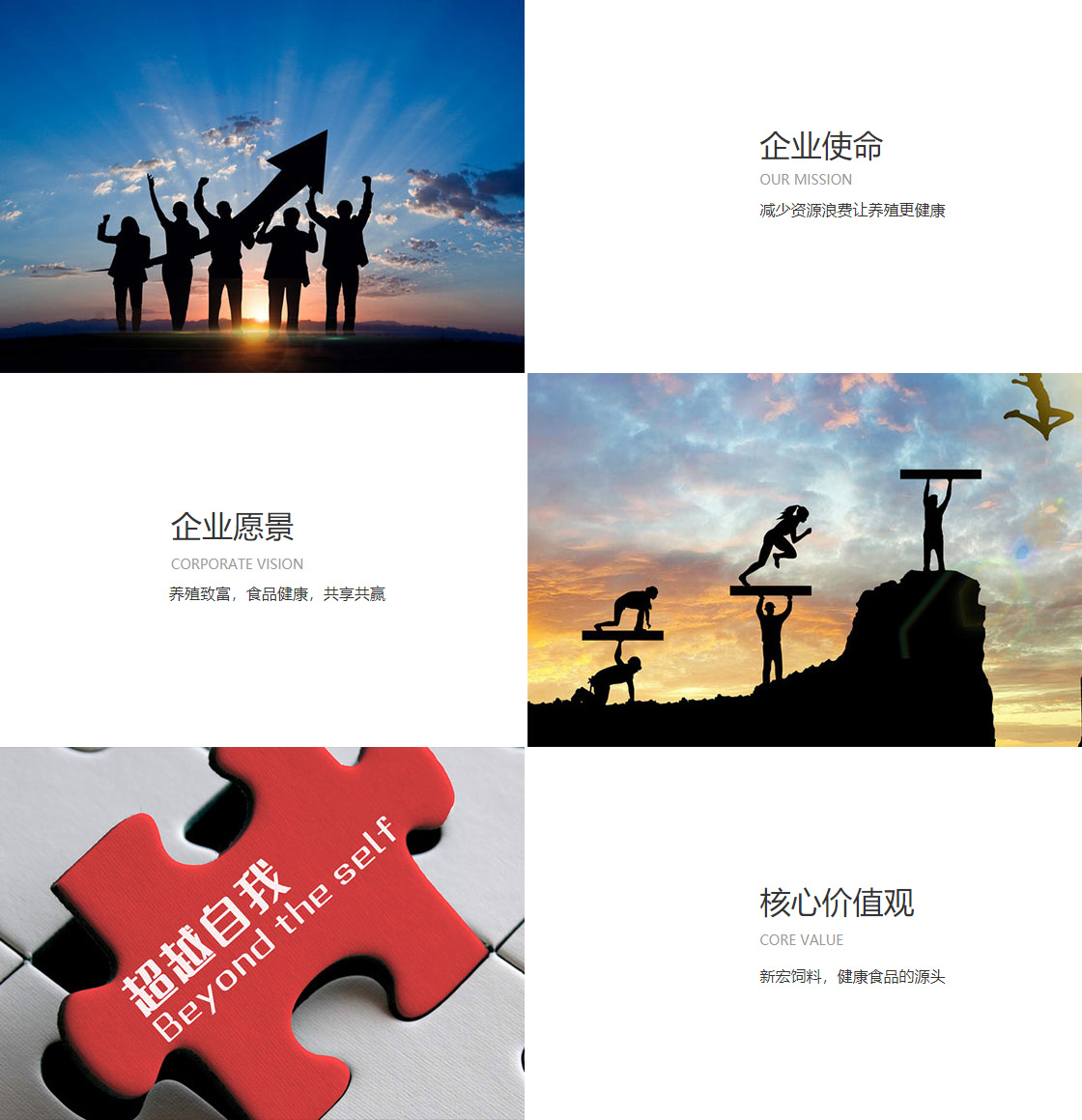 易游体育app官方下载(图1)